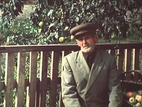 Видео: 400 лет Семежеву