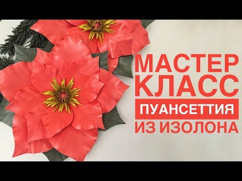 Видео: Мастер класс Пуансеттия из изолона