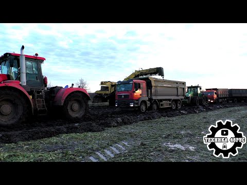Видео: Свёкла-2023. Грязь и мучения снова. Кировец К-742, John Deere'ы и Claas Axion - все в поле!