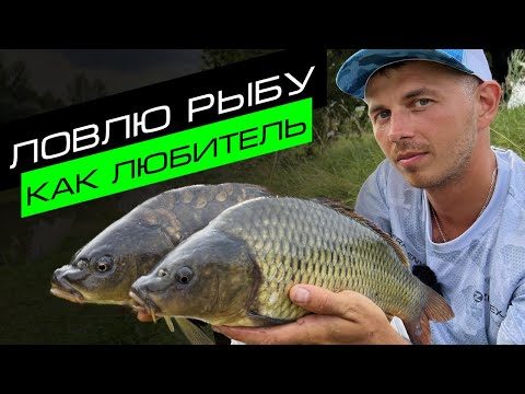 Видео: КАРПЫ РАЗГИБАЮТ КРЮЧКИ / ЛЮБИТЕЛЬСКАЯ РЫБАЛКА / FROS FISHING