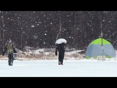 Видео: МЕШКАМИ ПРУТ РЫБУ СО ЛЬДА!!! ЭТО ЯКУТИЯ Первый лед 2023-2024. Зимняя рыбалка.