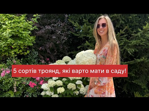 Видео: 5 сортів троянд, які варто мати в саду 😍