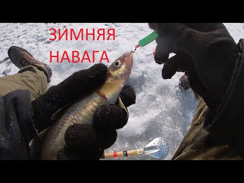 Видео: ЗИМНЯЯ РЫБАЛКА КАК ЛОВИТЬ НАВАГУ ВЛАДИВОСТОК  GO PRO HERO 7 WHITE