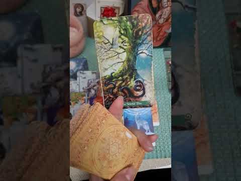 Видео: Пълен анализ на любовта ни 