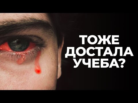 Видео: ВИДЕО ДЛЯ ТЕХ, КТО НЕ ХОЧЕТ УЧИТЬСЯ!