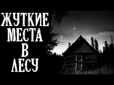 Видео: Жуткие Места в Лесу. Страшные Истории на Ночь (3в1)