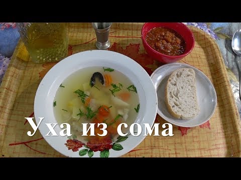 Видео: ЛУЧШАЯ УХА ИЗ СОМА. Босяцкая кухня.