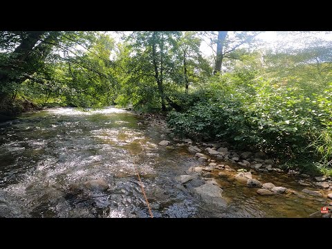 Видео: Мухарски риболов по течението Fly fishing on the stream