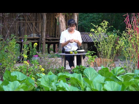 Видео: Зеленый сад на горе: уход за кукурузой и сладким картофелем с момента посадки