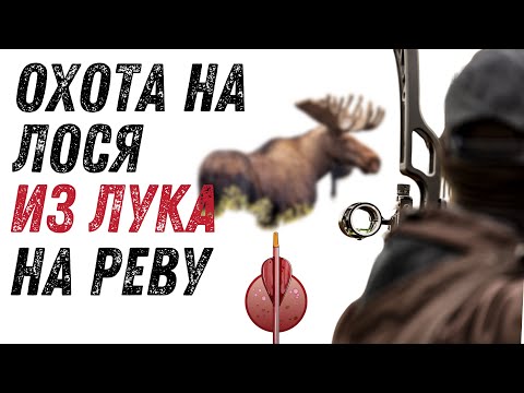 Видео: Охота на лося на вабу, на реву, гону! Охота с лука. Интереснейшая охота и очень тяжёлая.