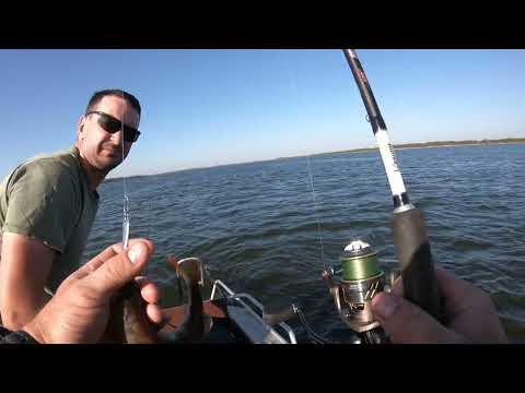 Видео: ЧТО НЕ ЗАБРОС ПОКЛЕВКА!ЖЕРЕХ НА СПИННИНГ!