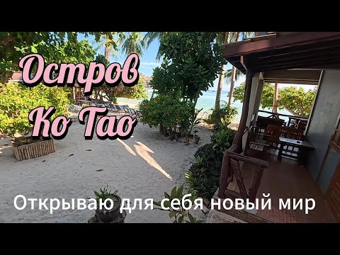 Видео: Безумно интересный остров Ко Тао для туризма в Таиланде