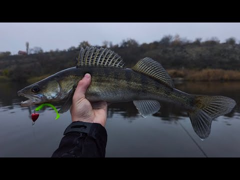 Видео: ЛОВЛЯ ОСІННЬОГО СУДАКА З ЧОВНА🎣 РИБОЛОВЛЯ В ЛИСТОПАДІ 