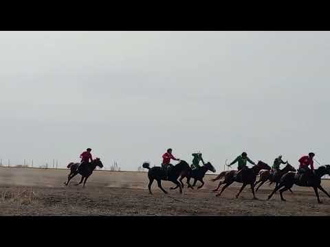 Видео: Тартысты көкпар болды, Май ауданы