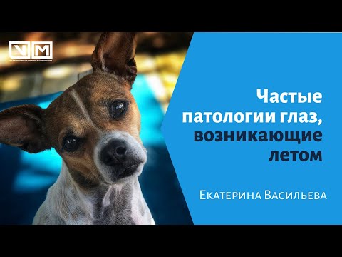 Видео: Частые патологии глаз, возникающие летом