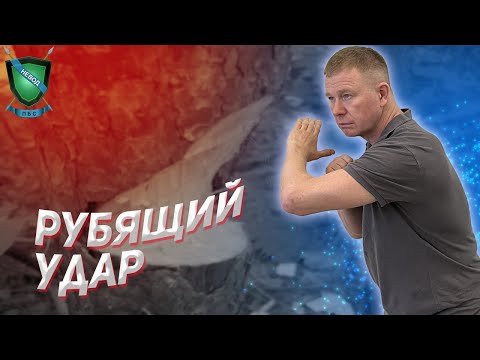 Видео: Рубящий удар || Михаил Стёпырев || Прикладная Боевая Система НЕВОД