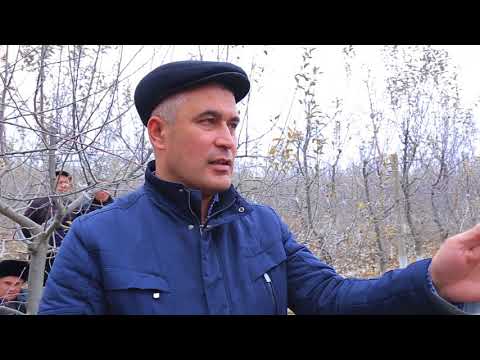 Видео: Қишки шакл бериш 2-қисм