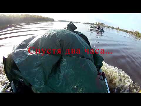 Видео: Река Пайдугина. 2024