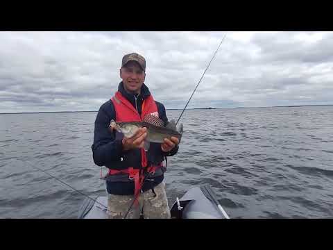 Видео: Карелия, Сямозеро 2023