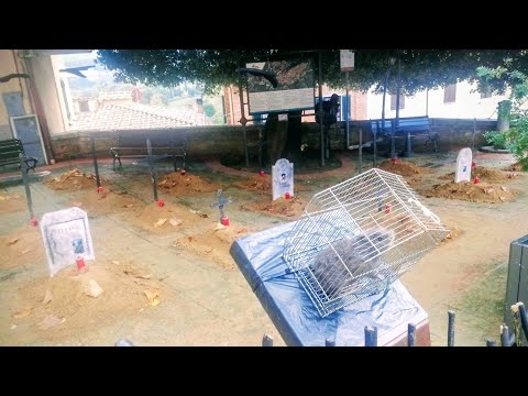 Видео: Как мой офис превратили в КЛАДБИЩЕ. Хэллоуин в Кьянчано - Терме. 