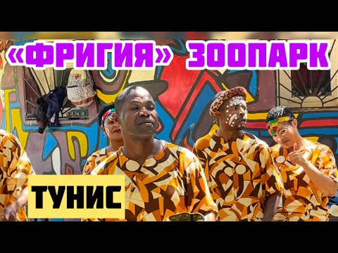 Видео: Звери в Тунисе🇹🇳Зоопарк Friguia Park 🇹🇳