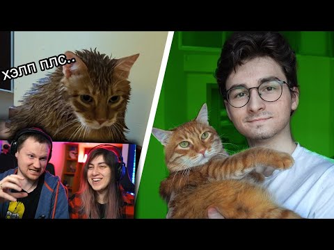 Видео: ТРАНСФОРМАЦИЯ КОТА за 24 часа | РЕАКЦИЯ на Брайна Мапса