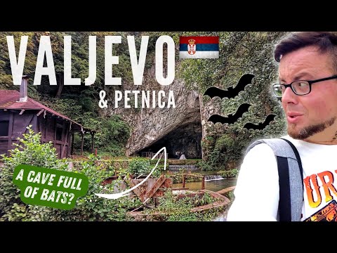 Видео: 🇷🇸 ДРАКОНЫ и ЛЕТУЧИЕ МИШКИ из ПОСЛЕДНЕГО ЛЕДНИКОВОГО ПЕРИОДА? | ПЕЩЕРЫ ПЕТНИЦА И ВАЛЕВО, СЕРБИЯ