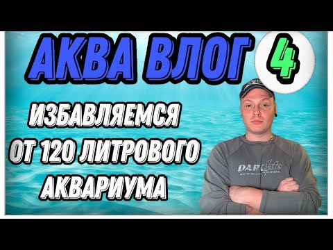 Видео: Почему решил покончить с аквариумистикой?Аква влог (4)