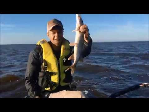 Видео: Рыбалка на Ильмене