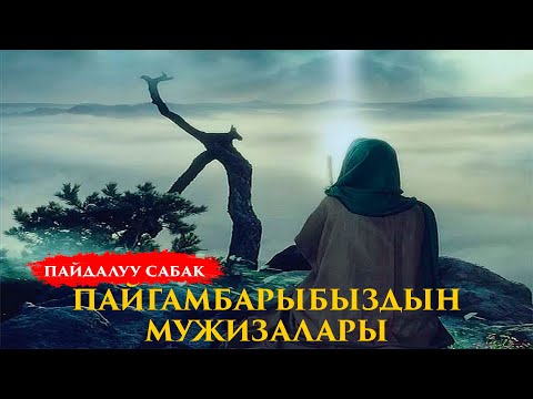 Видео: ПАЙГАМБАРЫБЫЗДЫН МУЖИЗАЛАРЫ | Устаз Кенжетай ажы Курманкожоев