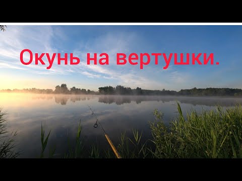 Видео: Ловля окуня на вертушки на озере.