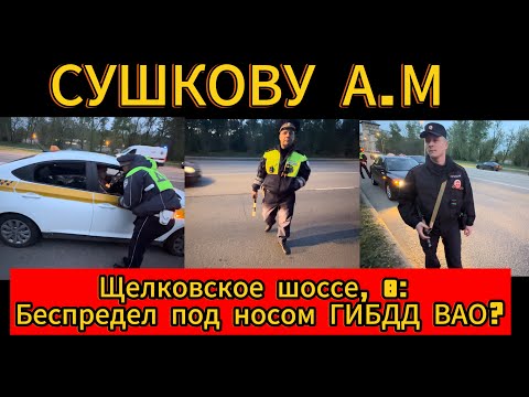 Видео: Щелковское шоссе, 8: Беспредел под носом ГИБДД ВАО?