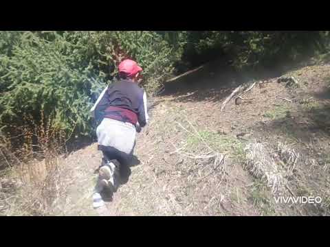 Видео: Жылуу-Булак айылы