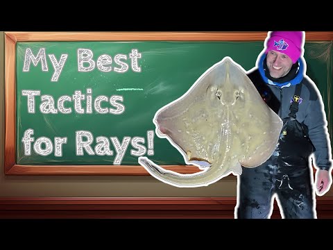 Видео: Лучшие советы по ловле скатов на пляже! | Советы экспертов для любителей прибрежной рыбалки