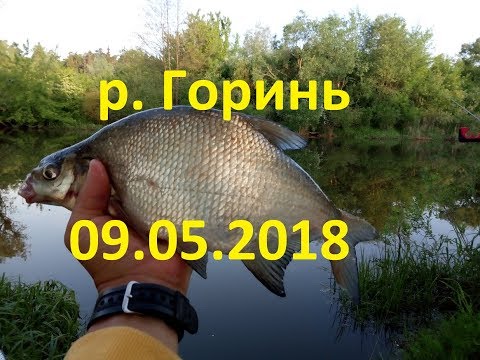 Видео: Рибалка з фідером на р. Горинь. Секрети ловлі ляща на Горині!!!