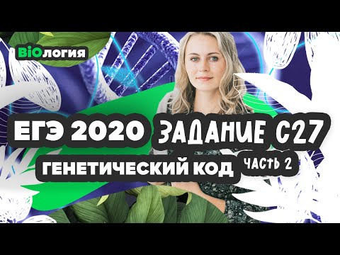 Видео: Задание 27. Вариант №2. Генетический код. Решаем задачи ЕГЭ Биология 2020.