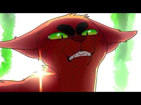 Видео: Коты - Воители:Слышен Шум Из Коридора...  +клип+ (заказ)