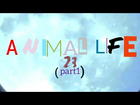 Видео: №23 Стежу за 🐓