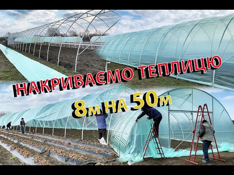 Видео: 🌱👍НАКРИВАЄМО ТЕПЛИЦЮ 8м НА 50м😲🤑