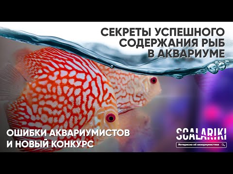 Видео: Секреты успешного содержания аквариумных рыб простыми словами. Ошибки аквариумистов