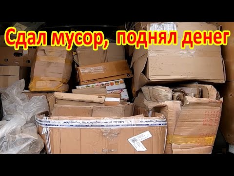 Видео: Сколько можно заработать на картоне и стекле в 2022 году