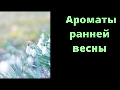 Видео: АРОМАТЫ НА РАННЮЮ ВЕСНУ