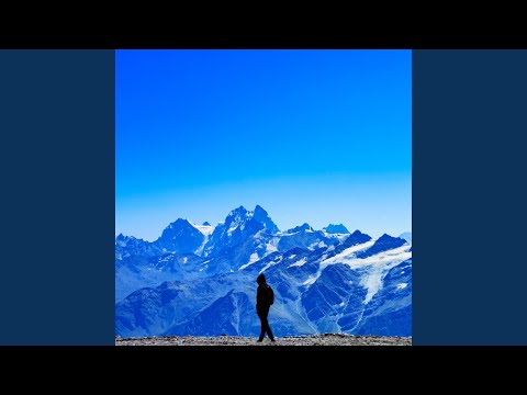 Видео: Акула