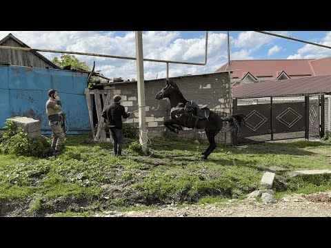 Видео: Выпуск 7.1 | Садись, он спокойный | Александр Обжерин