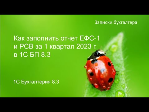 Видео: Как заполнить отчеты РСВ и ЕФС-1 за 1 квартал 2023 года и сверить их между собой