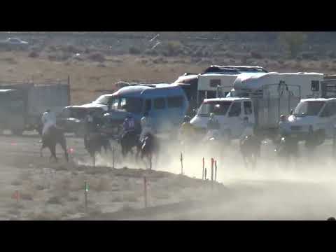 Видео: 19.10.2024 Залкар манасчы Саякбай Каралаевдин 130 жылдыгы. Ак-Өлөң айылы.  Чоң жорго