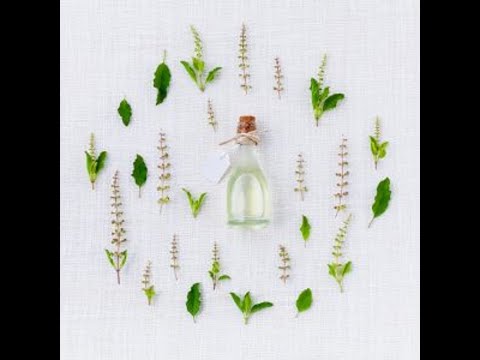 Видео: Фармакогностический анализ лекарственного растительного сырья   1 часть