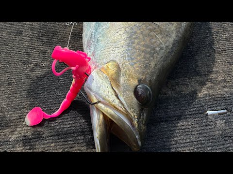 Видео: Последняя попытка победить Барра в 2025 году.