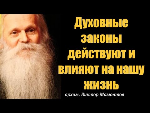 Видео: Как действуют Духовные законы на жизнь человека? архимандрит Виктор (Мамонтов)