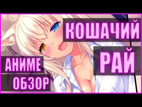 Видео: Кошачий рай (Аниме обзор)
